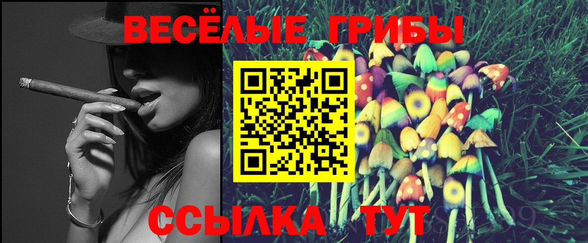 Псилоцибиновые грибы Cubensis  Псилоцибиновые грибы ЛСД  Заречный  Вход с VPN 