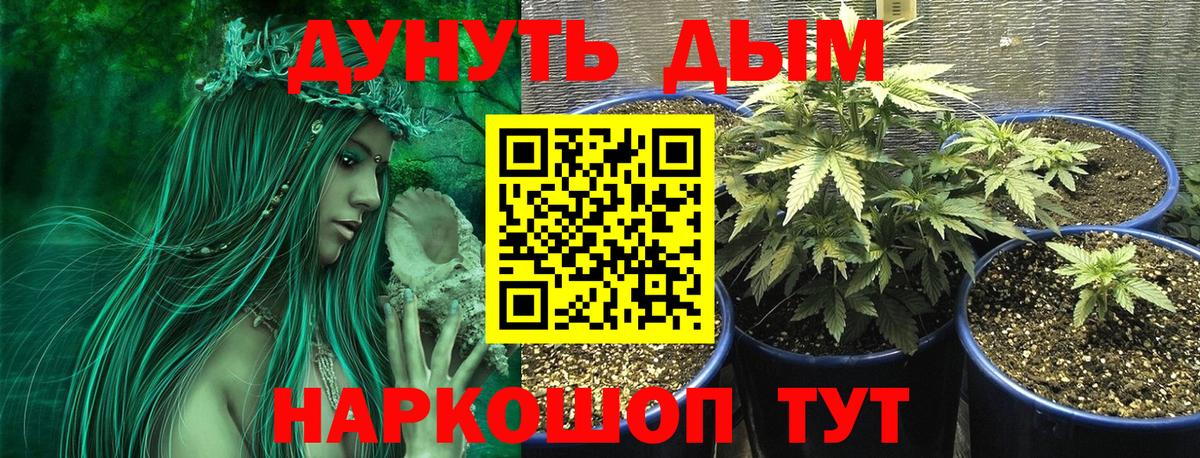 Бошки марихуана гибрид  Шишки марихуана тримм  МАРИХУАНА Bruce Banner  Заречный  Вход с VPN 